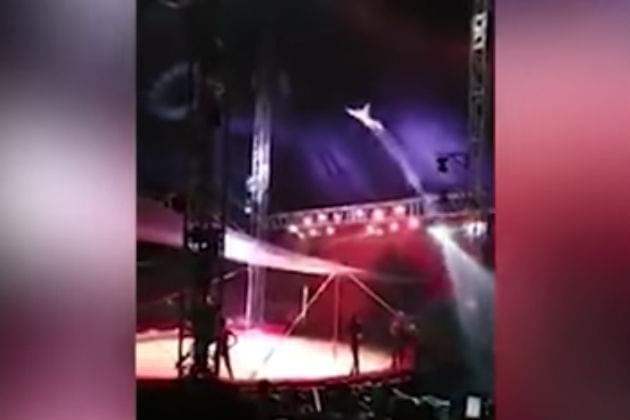 Watch This Human Cannonball Overshoot His Safety Net in Chile [VIDEO]