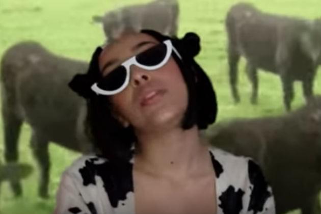 Doja Cat’s ‘Mooo!’ is Everyone’s Favorite Song About Cows [VIDEO]