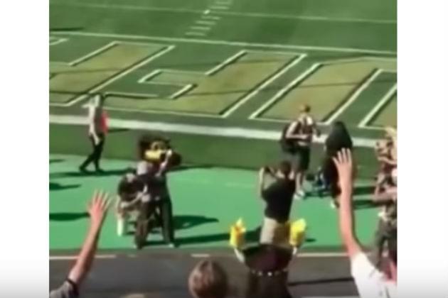 The University of Colorado Mascot Shot Himself in the Dong with a T-Shirt Cannon [VIDEO]