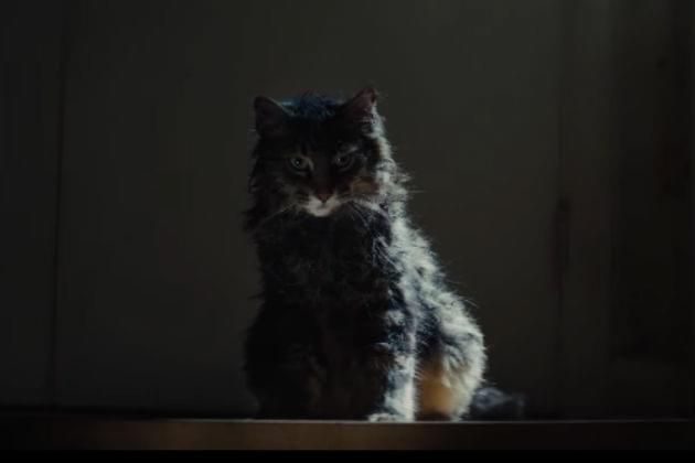 Watch the Second Trailer for Stephen King’s ‘Pet Sematary’ [VIDEO]