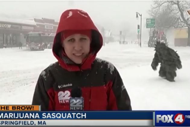 Watch ‘Marijuana Sasquatch’ Crash This TV Station’s Live Shot [VIDEO]