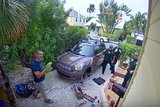 Neighbor Calls Police After Parrot Screams ‘Let Me Out!’ [VIDEO]