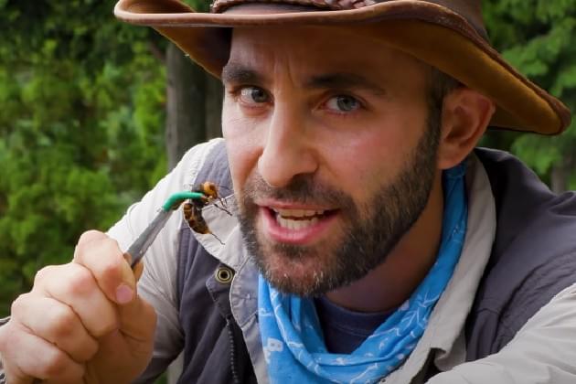 Coyote Peterson Got Stung By a ‘Murder Hornet’ and It Sounds Awful [VIDEO]