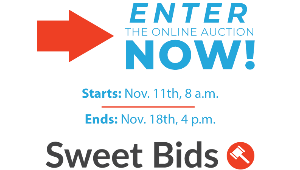 The Sweet Bids Auction!