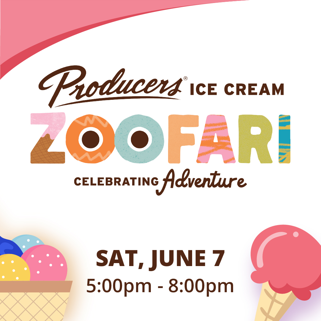 Ice Cream Zoofari – June 7