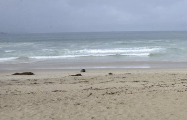 8 Central Coast Beaches Reopen After Sewage Spill
