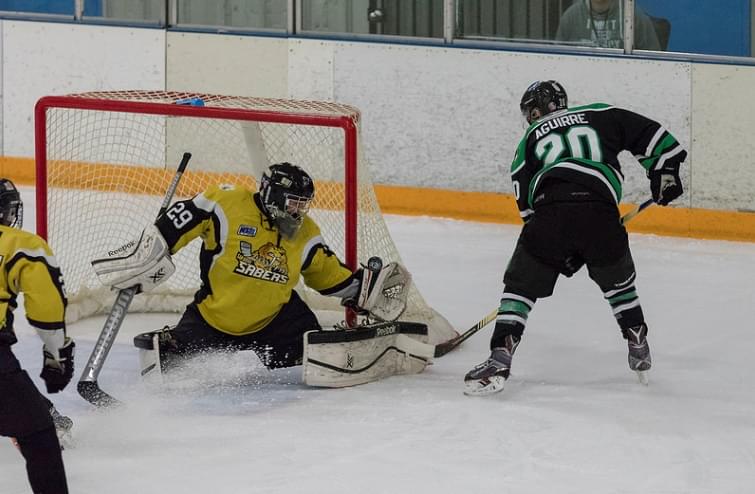 Hockey Is Coming Back To Downtown Fresno At Selland Arena