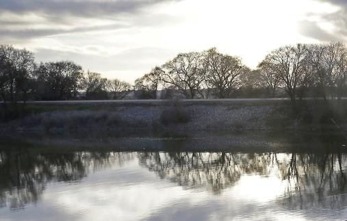 Newsom Proposes Plan for Managing San Joaquin River Delta