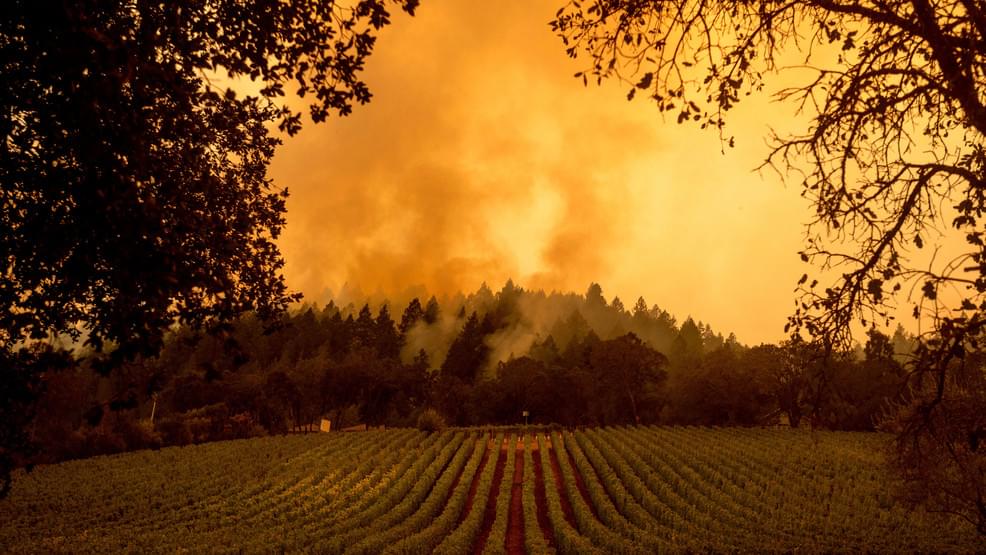 $155M fine proposed for PG&E for 2020 wildfire