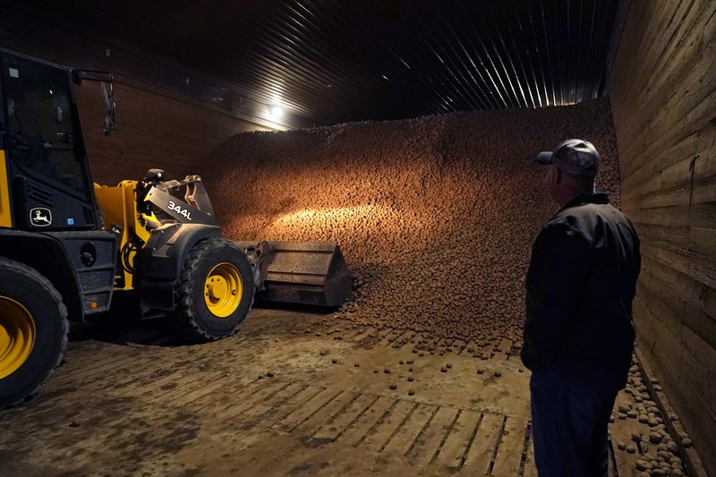 New Problems Arise for Crop Storage as Planet Gets Warmer