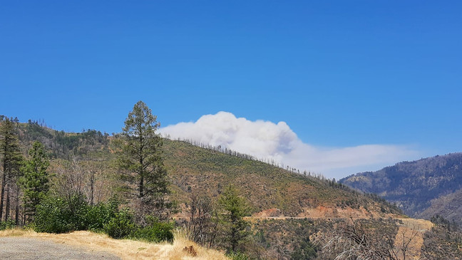 PG&E Equipment May Have Started The Dixie Fire
