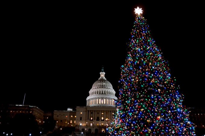 2021 U.S. Capitol Christmas Tree Comes to Mariposa