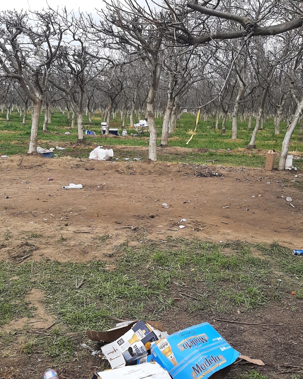 Tip Helps Take Down Bird Fighting Ring in Tulare County