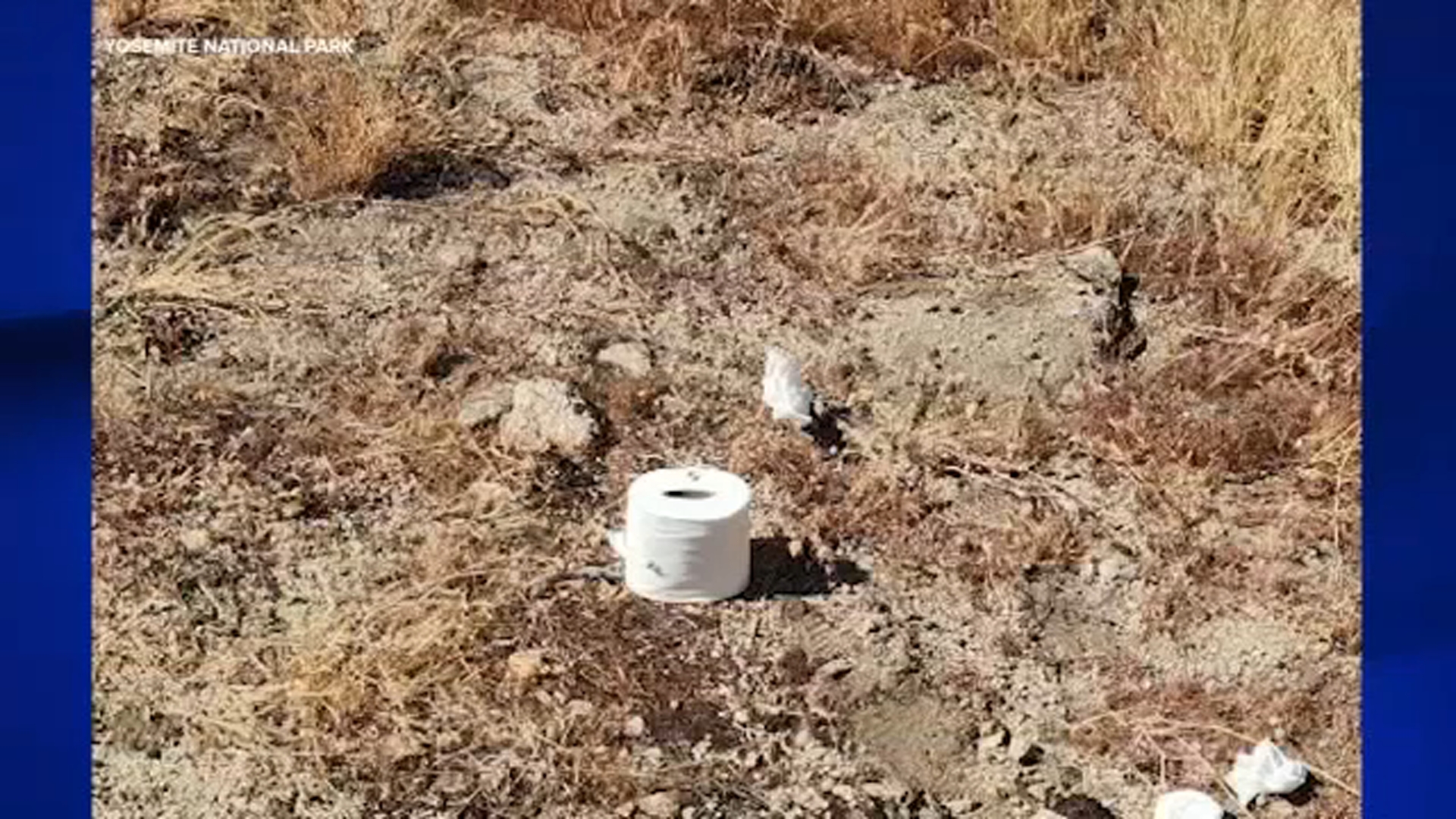 Messy Problem: Used Toilet Paper Found In Yosemite National Park Near Rancheria Falls