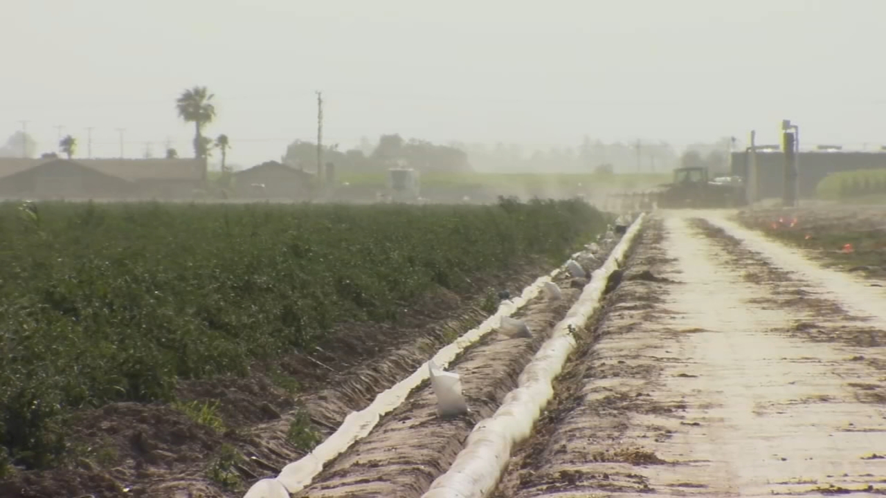 Judge Temporarily Halts State Plan To Monitor Groundwater Use In Crop-rich California Region