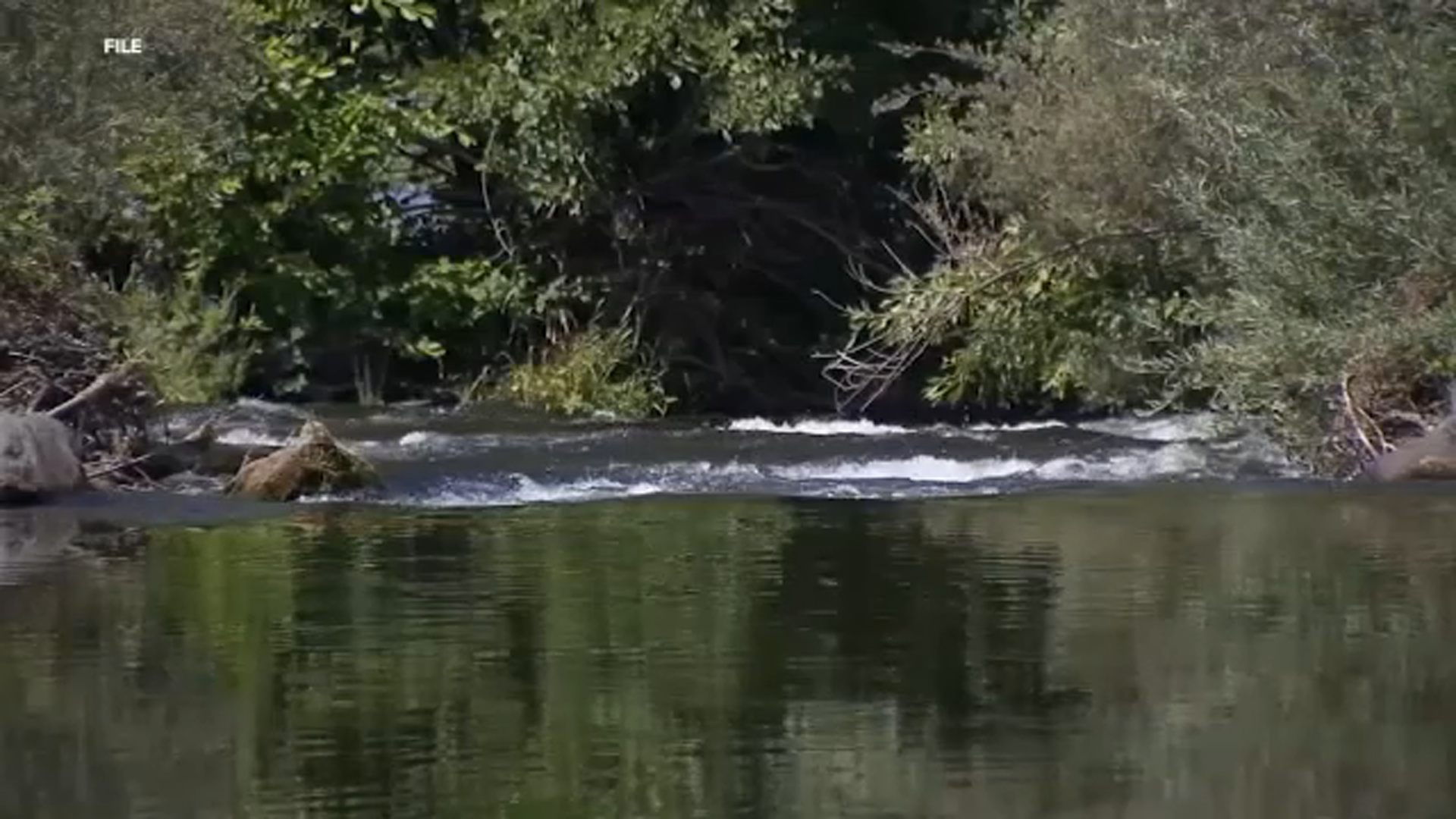 Good Samaritan Saves Drowning Person At Lost Lake