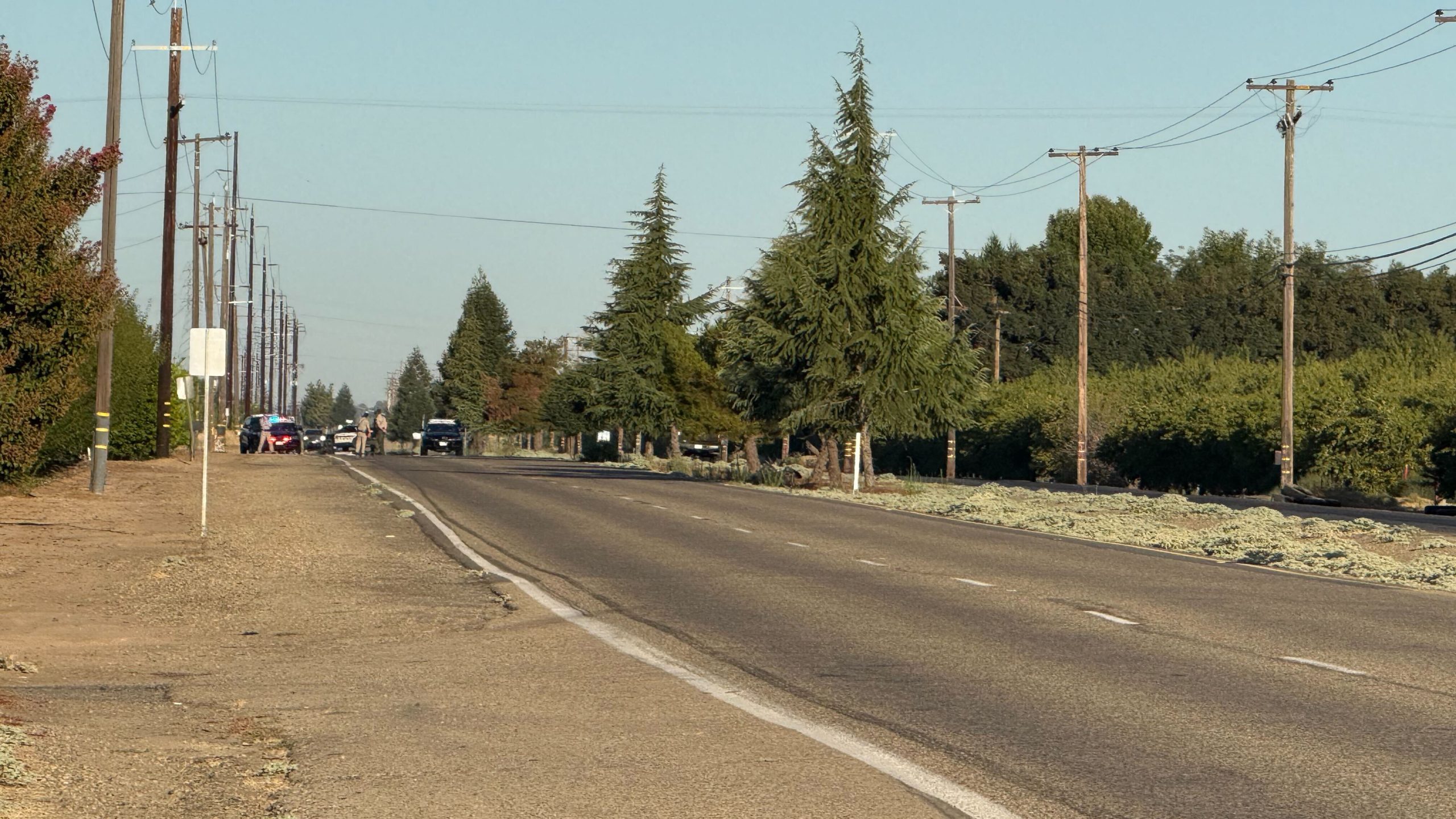 Man Killed In Hit-And-Run Crash In Fresno County 