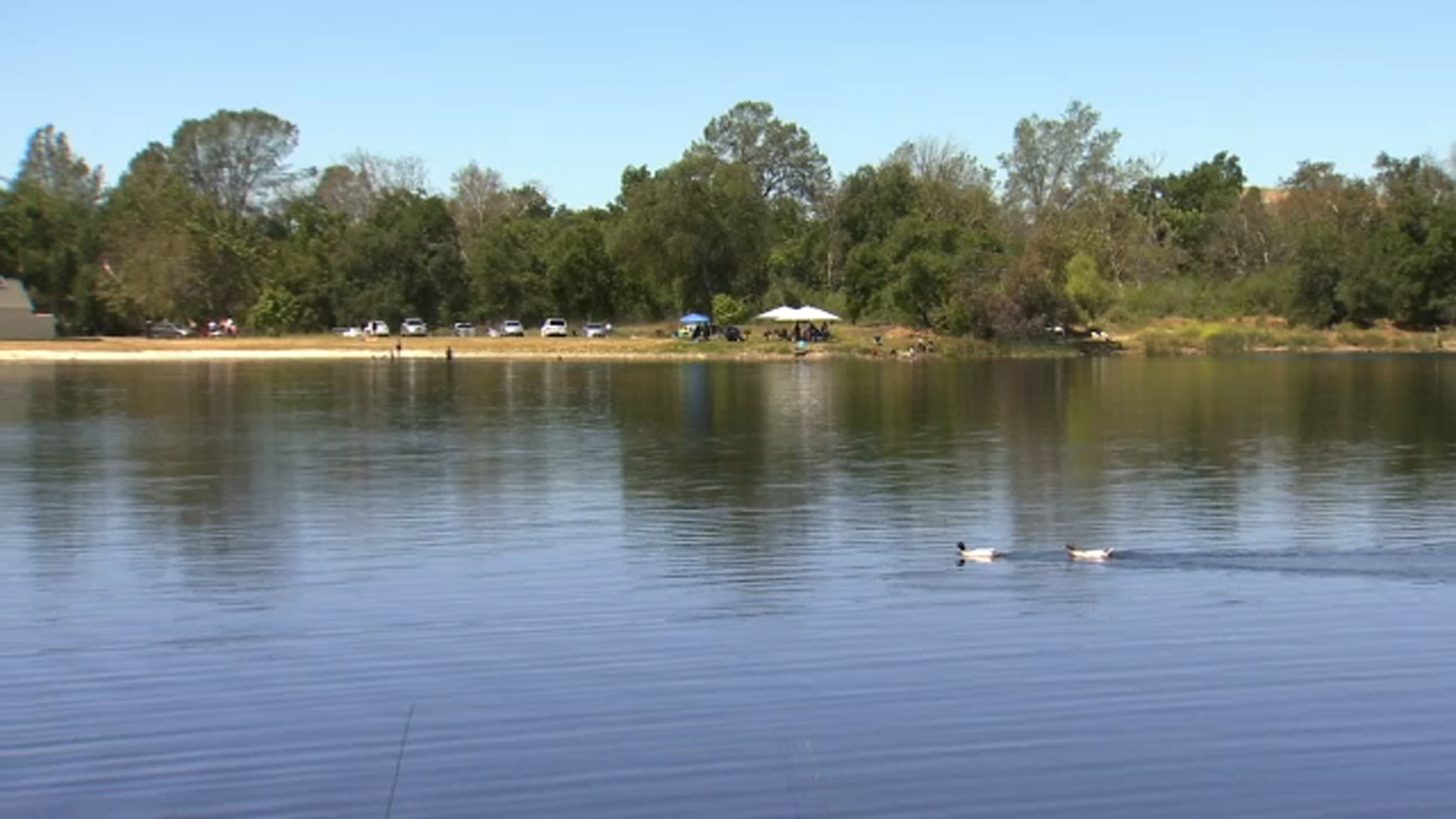 Elevated E.Coli Levels Found In Avocado Lake