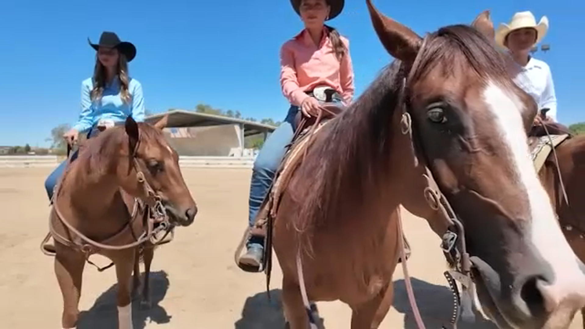 Clovis Horse Reining Team Sends Record Number Of Rookies To Prestigious Competition In Las Vegas 