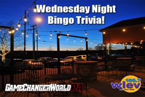 Wednesday Bingo Nights at Game Changer World!