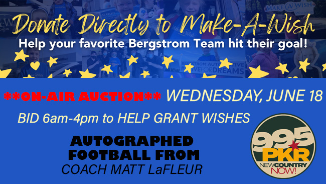 Make-A-Wish Auction