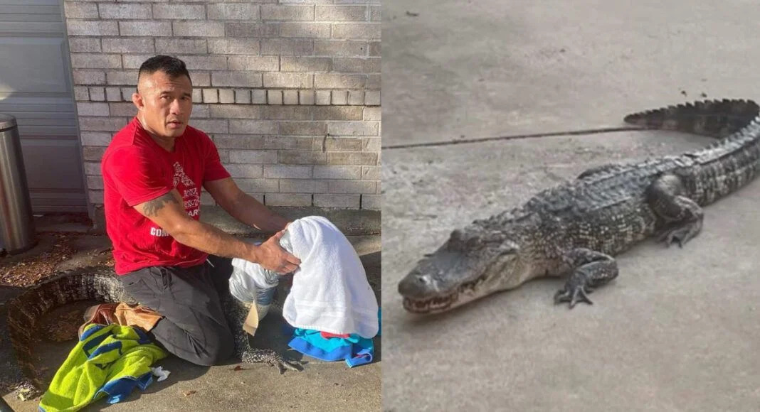 This Texas Dad Dropped His Daughter Off for Her First Day of School, Then Wrestled an Alligator