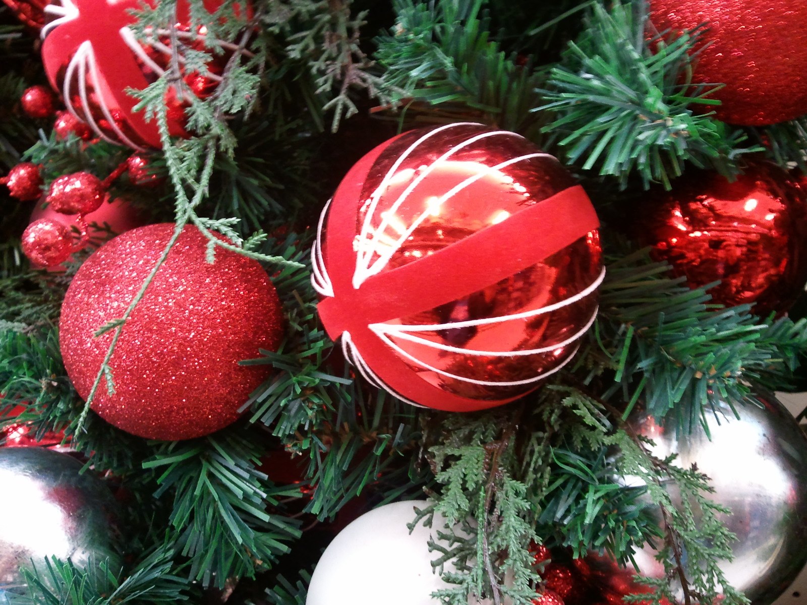 Louisiana Christmas Tree Farmers are Having a Very Big Year