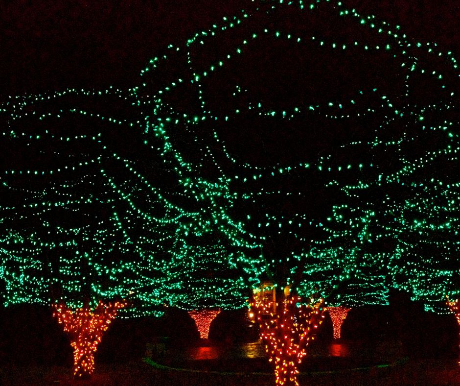 Popular Shreveport Christmas Light Show Cancelled This Year