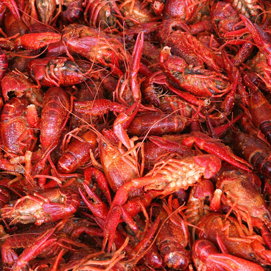 Here’s Where to Get Your Crawfish Craving Met in the Shreveport Area