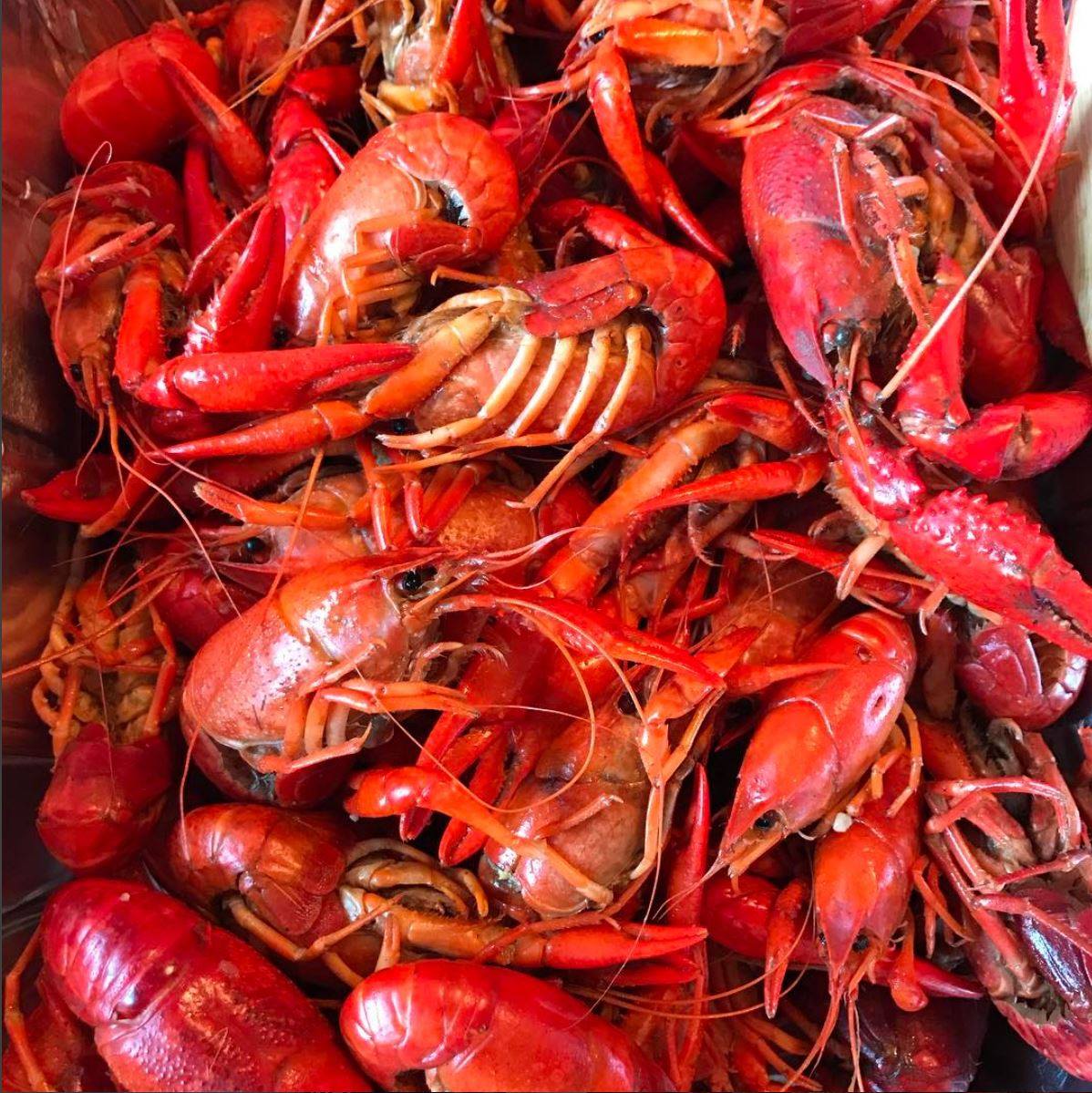 Today is National Crawfish Day! (April 17th) Do you know the History??