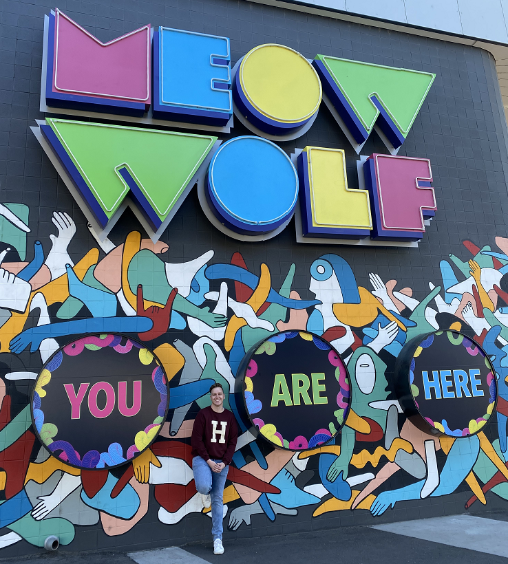 My Trip To Meow Wolf