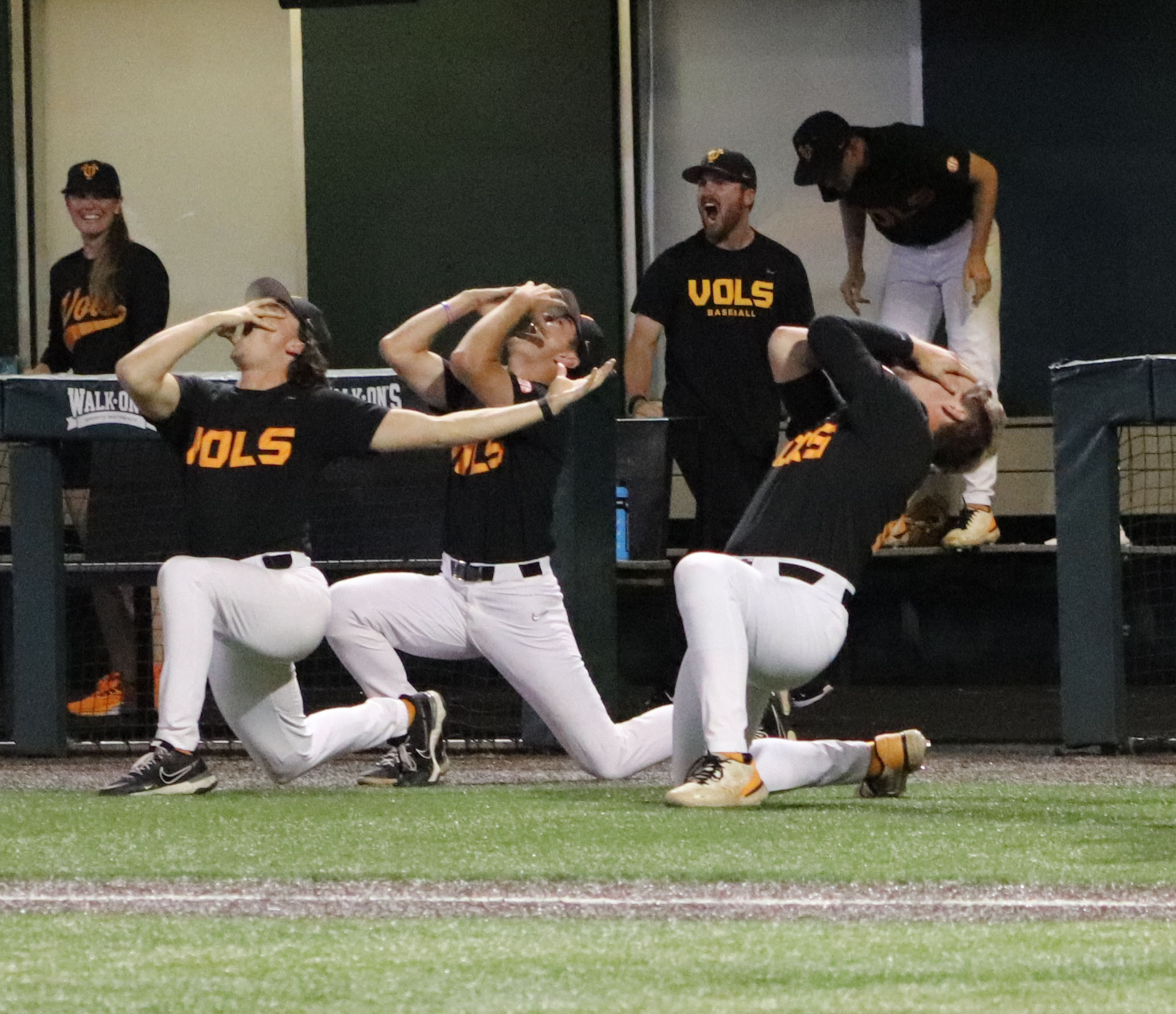 PHOTO GALLERY: Knoxville Regional – Tennessee Baseball Games