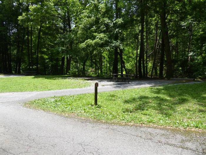 A Young Girl Dies in the Great Smoky Mountains After a Tree Falls on Family’s Tent