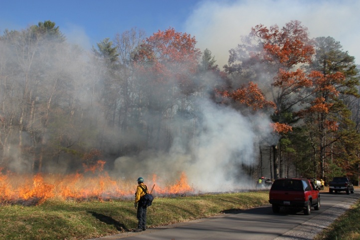 Prescribed Burns Begin in Great Smoky Mountains