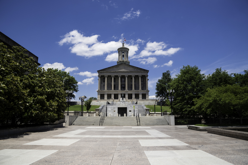 Tennessee House of Representatives Holding a Special Hearing to Vote on a Resolution to Expel Three Members