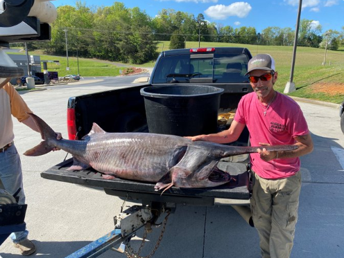 A New Record Set for Largest Fish Caught in Tennessee Waters