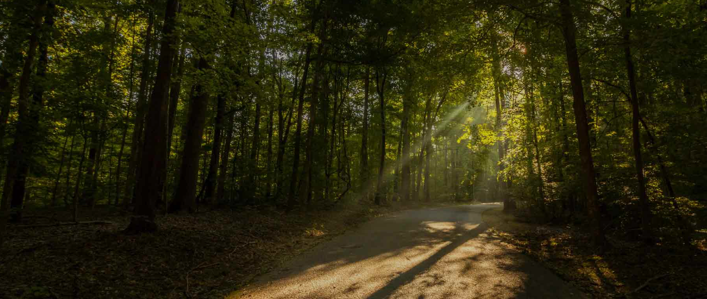 Some Tennessee State Parks are Offering Father’s Day Meals to Celebrate Dad