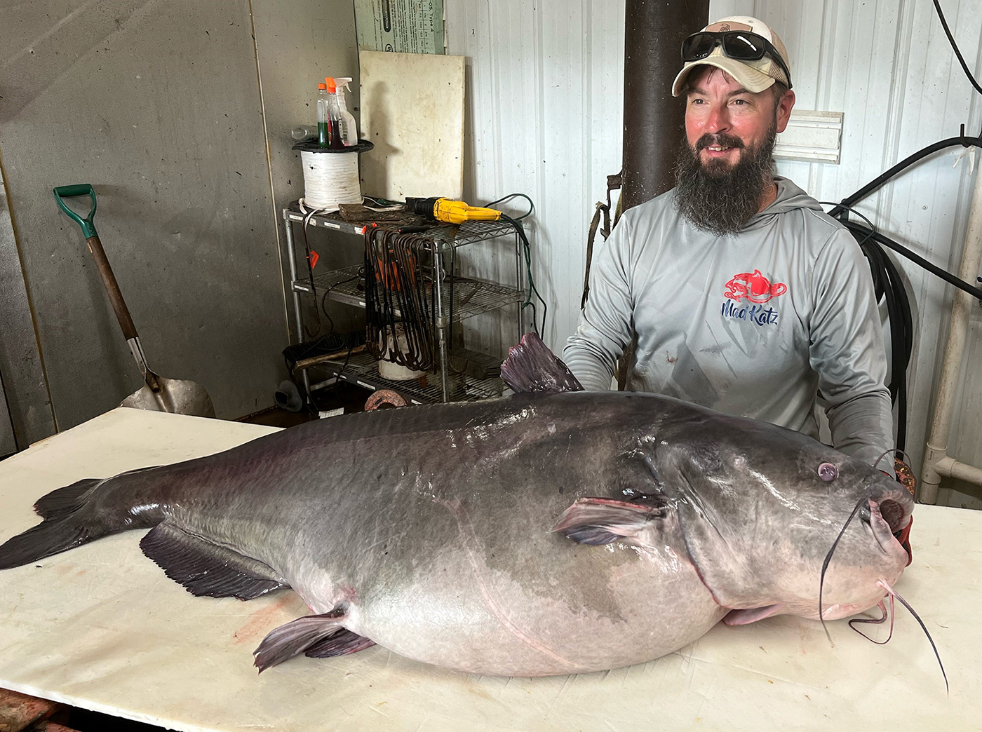 TWRA Confirms New State Record for Blue Catfish Caught