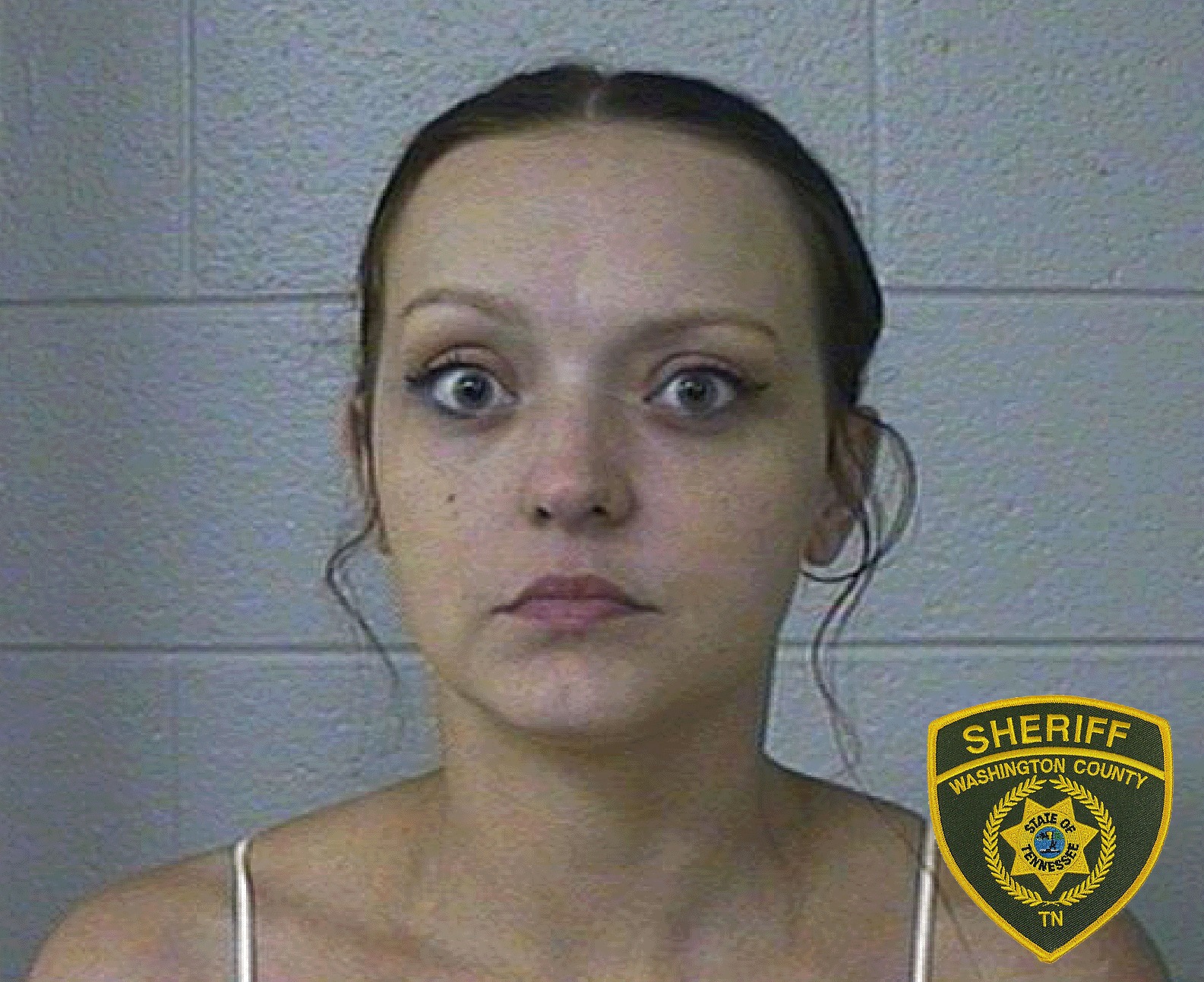 Knoxville Woman Arrested for Indecent Exposure Outside of WCDC