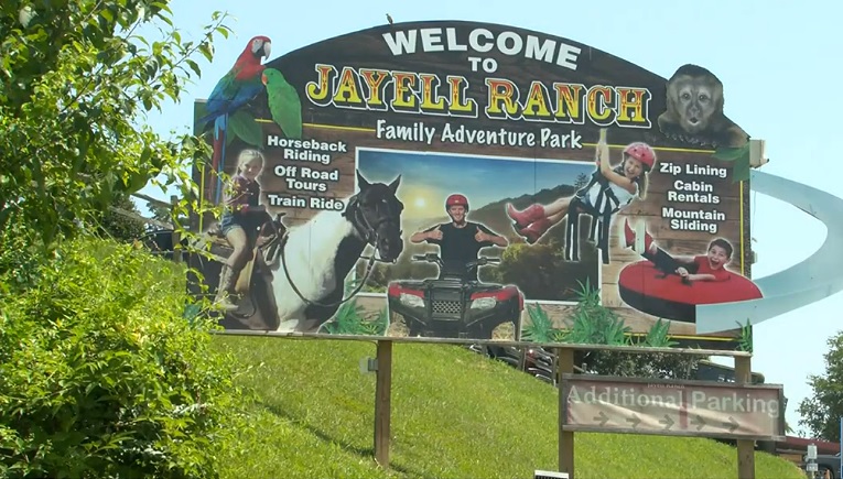 WVLT: Sevierville Horse Ranch under Investigation by State