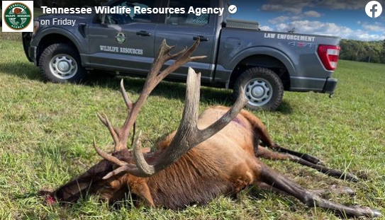 TWRA Says Reward has Increased for Information Leading to Arrest and Conviction of a Poacher