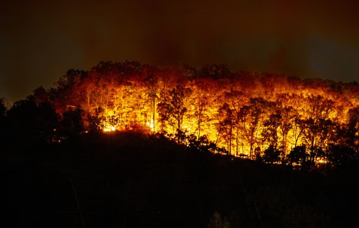 RCSO: Harriman Wildfire 100% Contained, Suspect Wanted for Arson