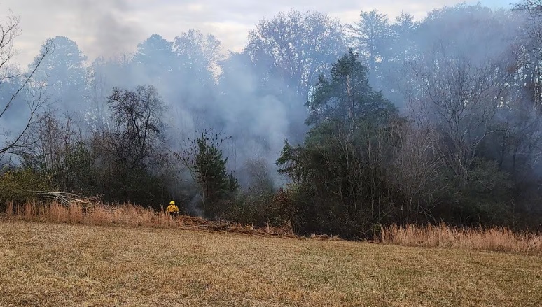 Rural Metro Fire Contains Wildfire in Gibbs