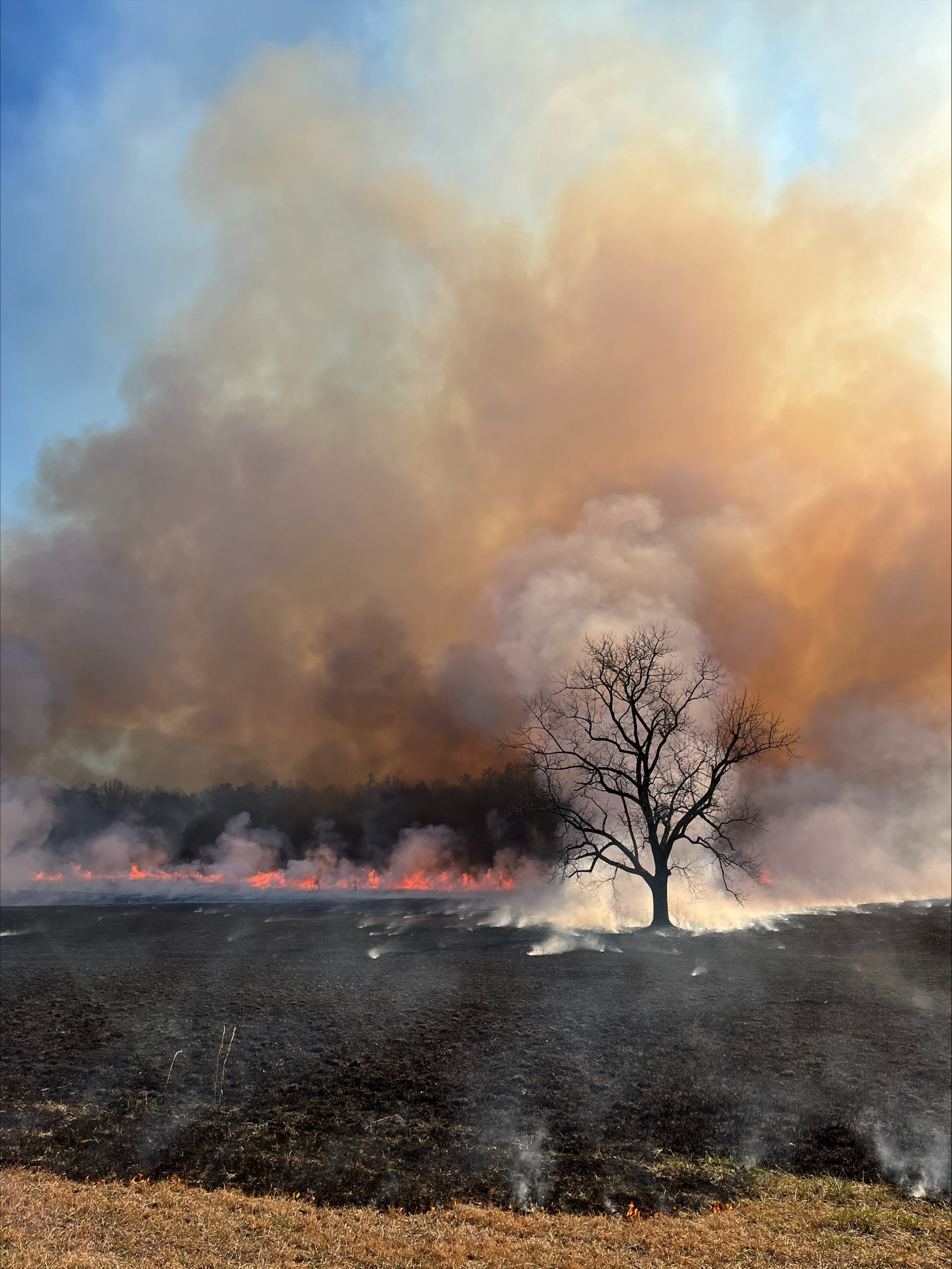 Prescribed Burns Planned for Cades Cove, Say GSMNP Officials