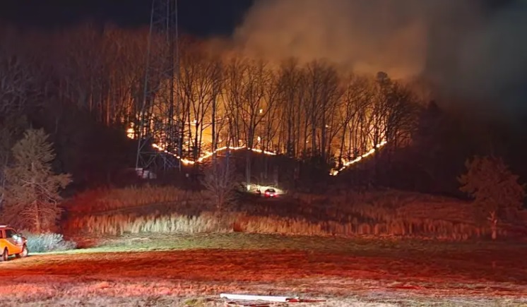 Brush Fire Burning Halls Community 100% Contained