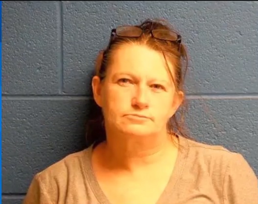 Woman Charged after 31 Dogs Seized from ‘Unlivable’ Greene County Home, Police Say