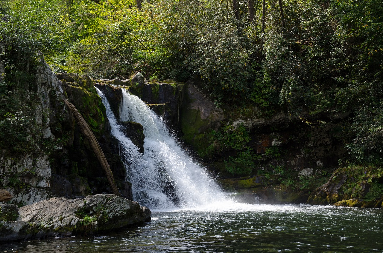 TENNESSEE STATE PARKS SALUTE VETERANS WITH DAYS OF COMPLIMENTARY CAMPING, GOLFING