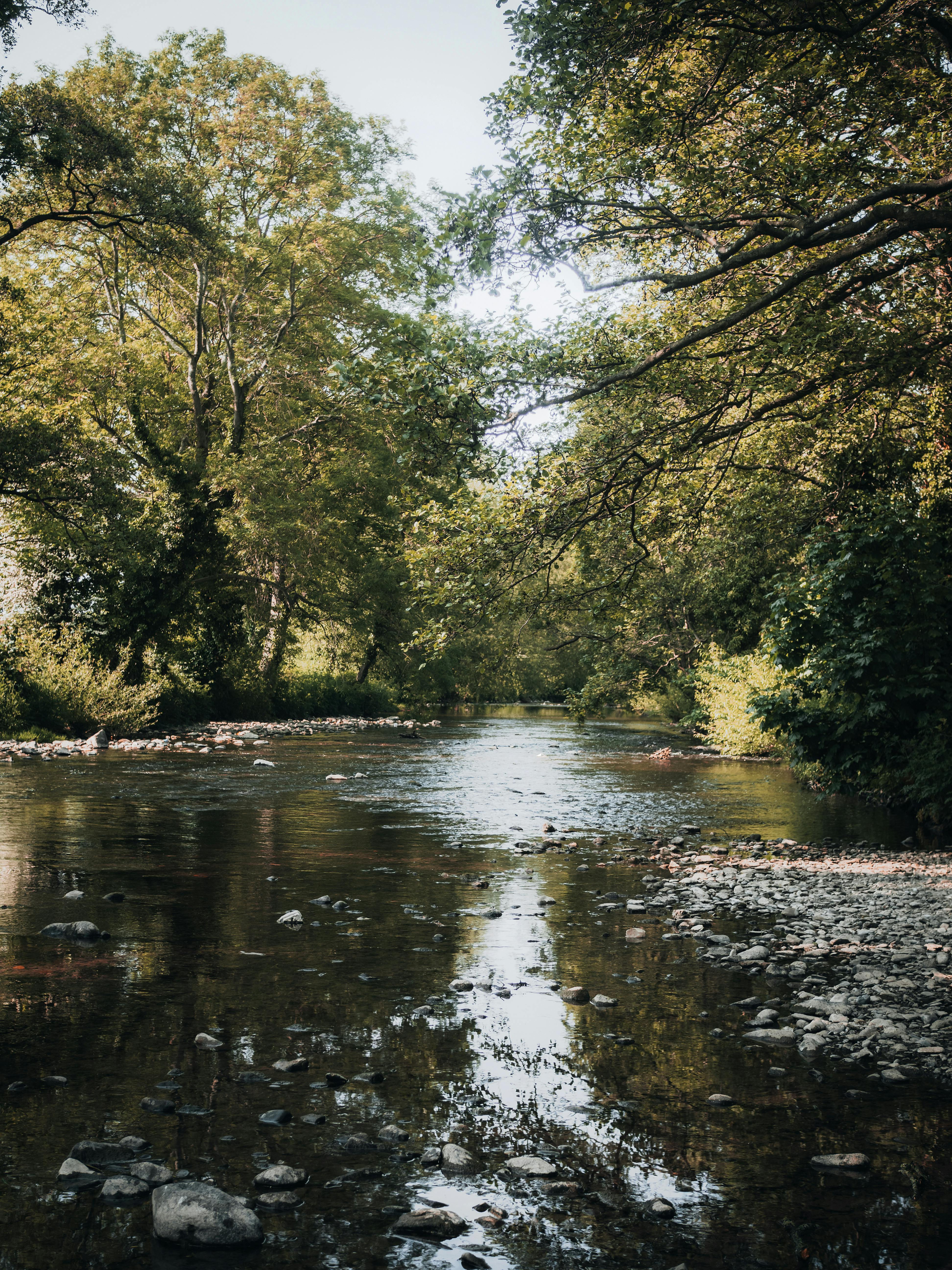 Knoxville Service Provider Pleads Guilty to Dumping Pollutants into Holston River, Violating Clean Water Act