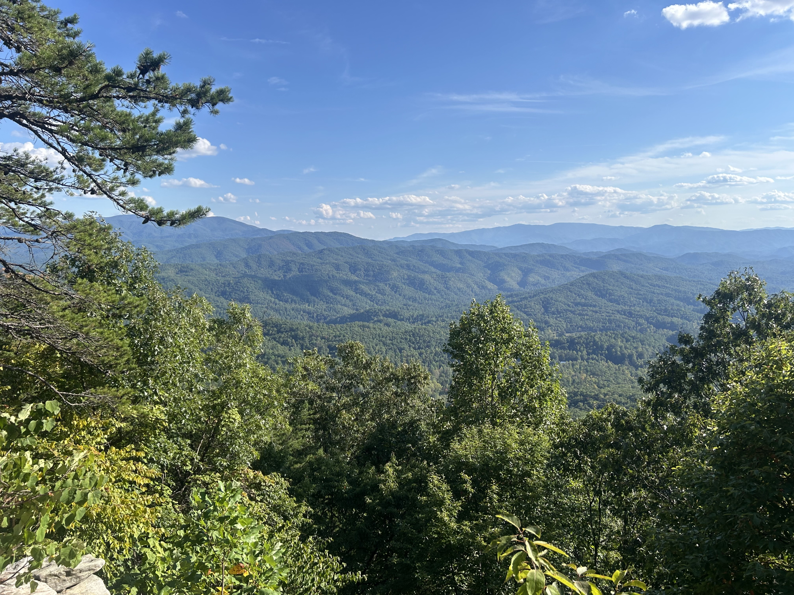 Great Smoky Mountain Flint Gap Fire Update 