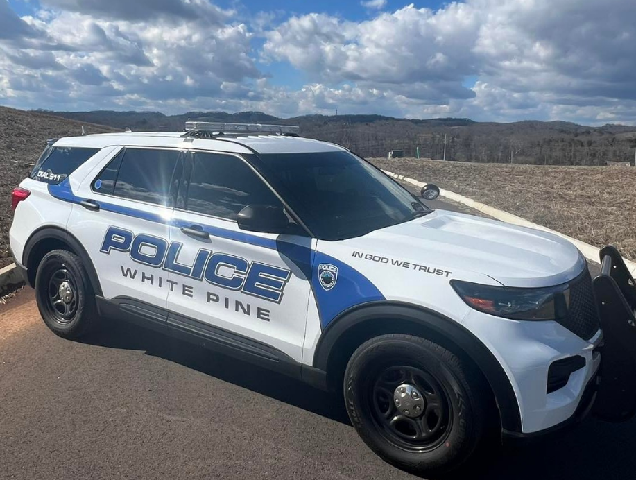 One Dead in Road Rage Shooting, White Pine Police Say